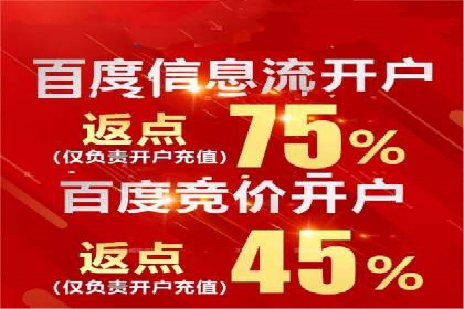 SEM服务公司助力企业国际化案例
